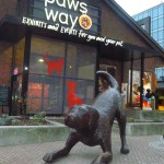 Purina PawsWay
