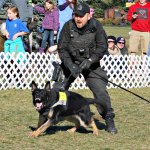 Police dog demonstrations at HOWler event