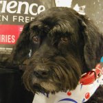 Nutrience SubZero dog food #subzerodifference