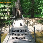 dog-friendly travel in Toledo Ohio Metropark