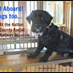 dog in historic train station dogtrotting.net