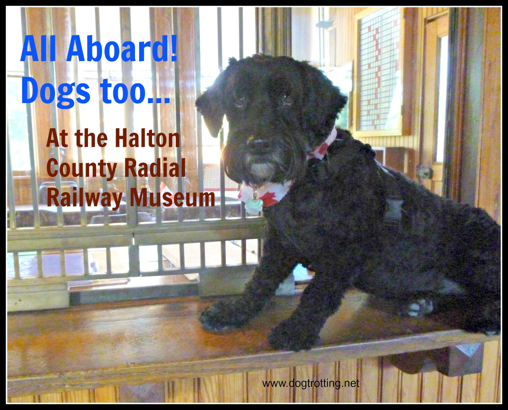 dog in historic train station dogtrotting.net