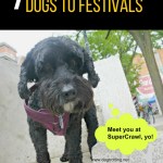 Dog at SuperCrawl outdoor art event