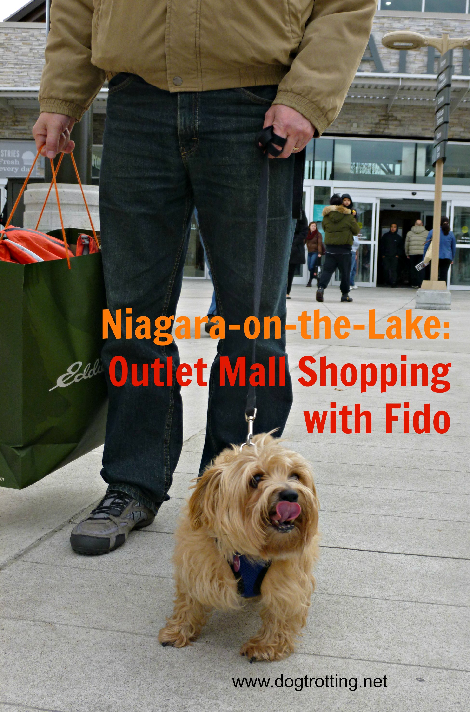 dog-friendly shopping Niagara on the Lake, Ontario
