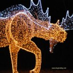 niagara falls festival of lights dogtrotting.net