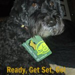 dog with canada parks pass