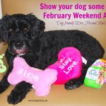 Victor a black dog at Red Roof Inn for Valentines Day