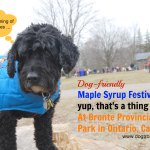 Maple Syrup Festival Bronte Creek Provincial Park