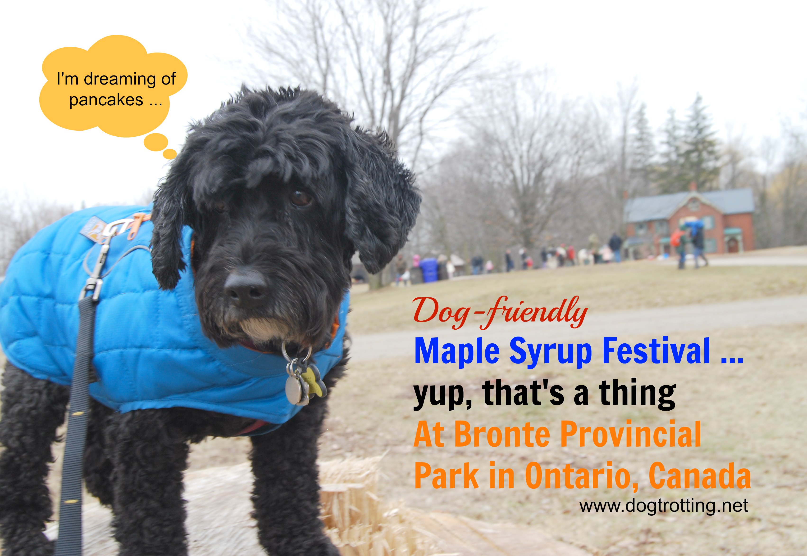Maple Syrup Festival Bronte Creek Provincial Park
