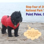 Southernmost at Point Pelee National Park Canada