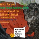dog with fjallraven jacket