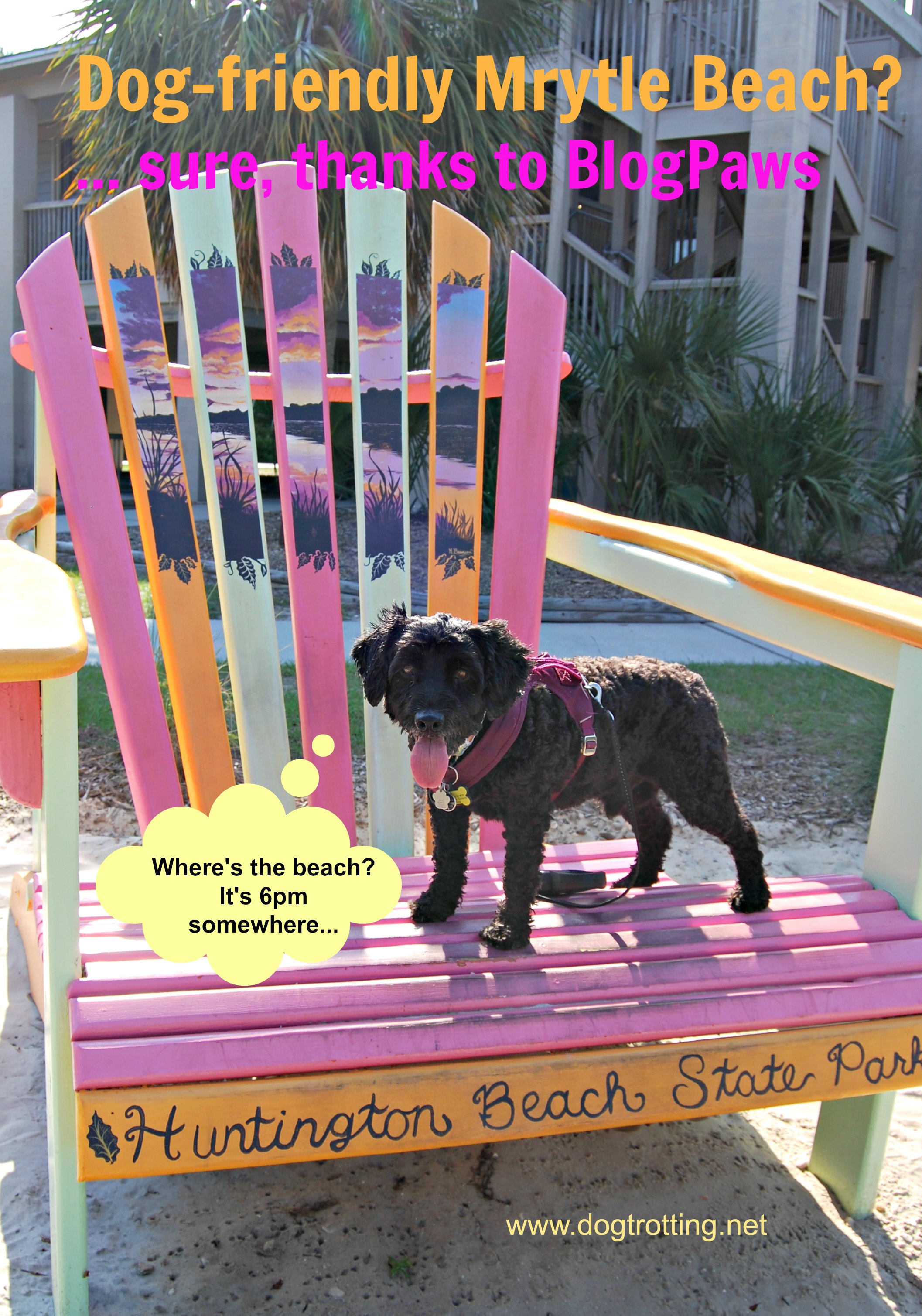 Dog on big Muskoka chair at Huntington Beach South Carolina