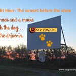 Dog-friendly Starlite Drive-in at Dusk