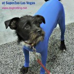 Shed Defender, long johns for dogs, SuperZoo Product dogtrotting.net