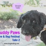 Muddy Paws dog and wine festival