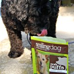 Dog treat review www.dogtrotting.net (pork puffs)