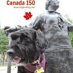 dog at Parliament Buildings in Ottawa, Ontario