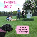 dog tales festival www.dogtrotting.net