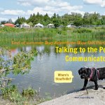 dog by poind at Stouffville's Mutt Masquerade 2017 dogtrotting.net
