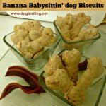 oat and banana bone-shaped dog biscuits