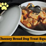 bowl of cheesey bread dog treat squares