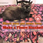 DIY Fleece dog blanket project