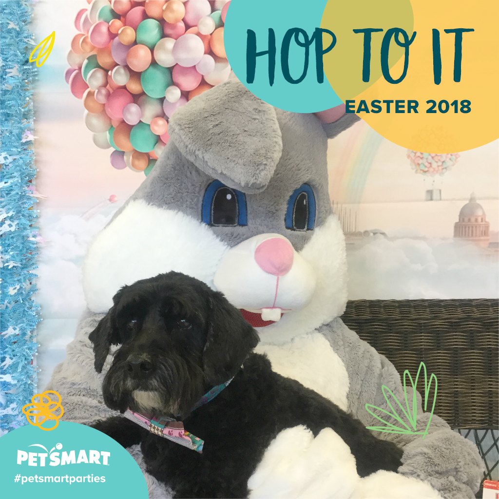 dog with Easter Bunny at PetsMart