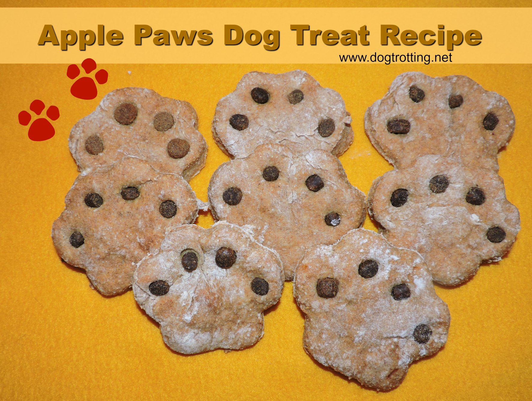 apple paws dog treats ... recipe
