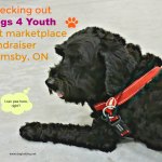 black dog at Dogs 4 Youth pet event, Grimsby, Ontario