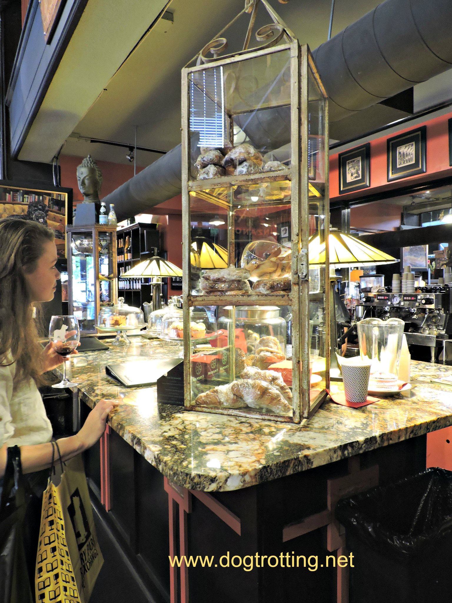 Travel Asheville, NC Books, Wine and Dogs... what could go wrong? (Day