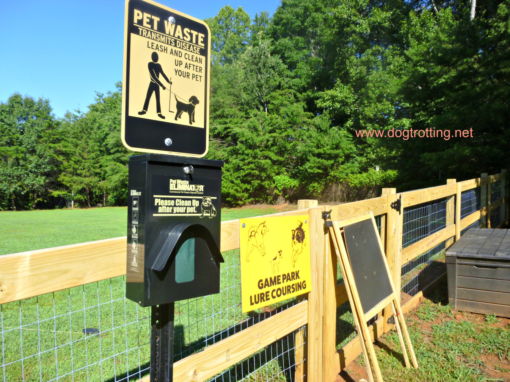 dog camping run Dog Trotting