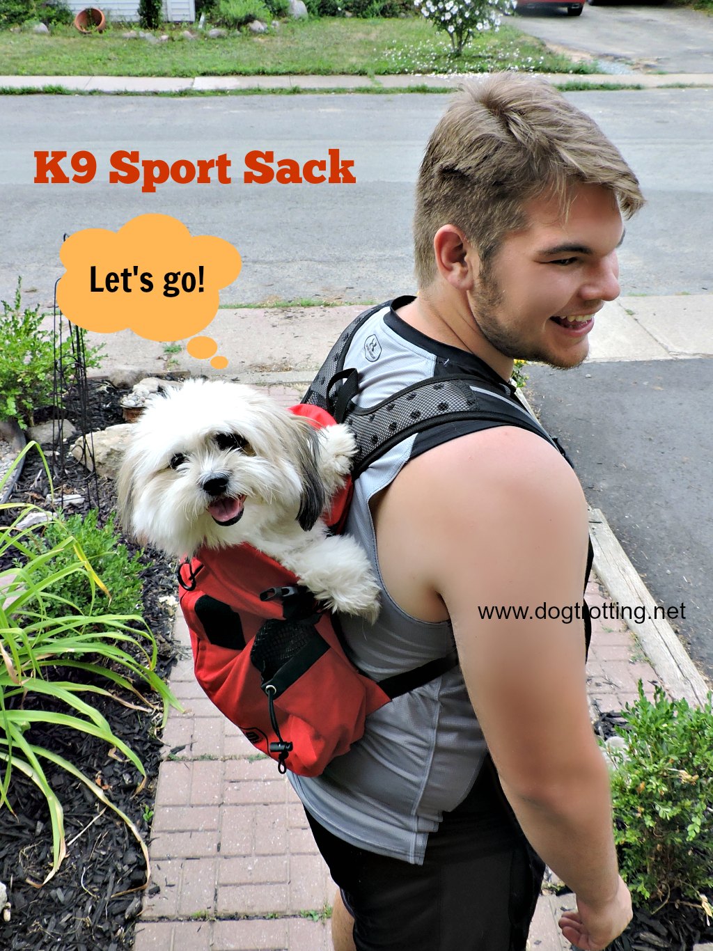 dog in K9 Sport Sack review on dogtrotting.net