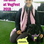 instructor and dog during dog yoga class Veg Food Fest Toronto dogtrotting.net