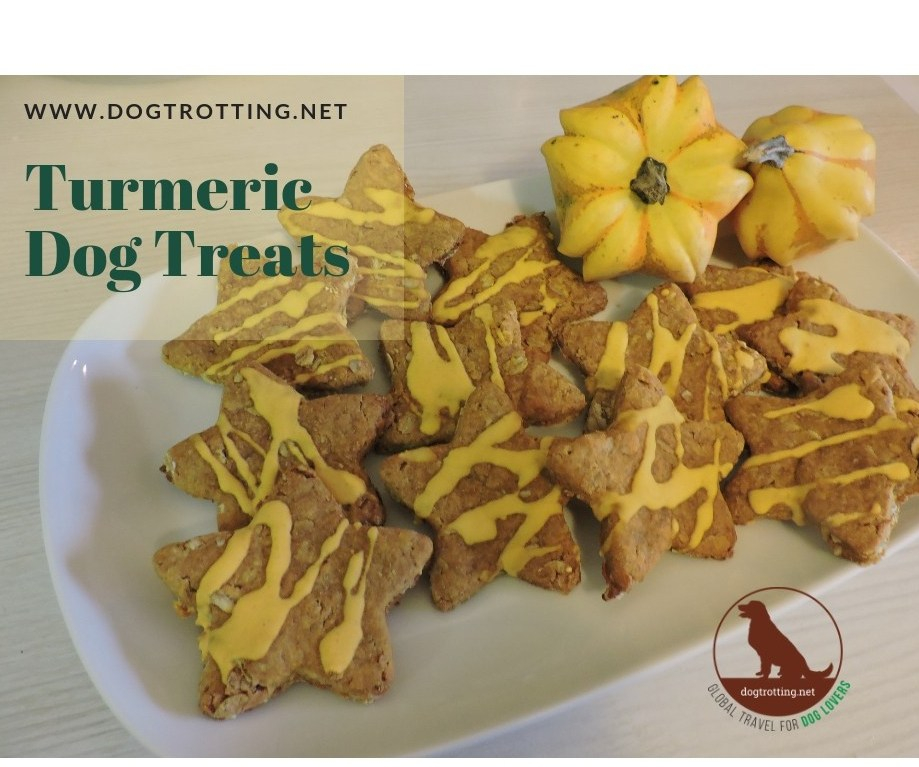 recipe for turmeric dog treats