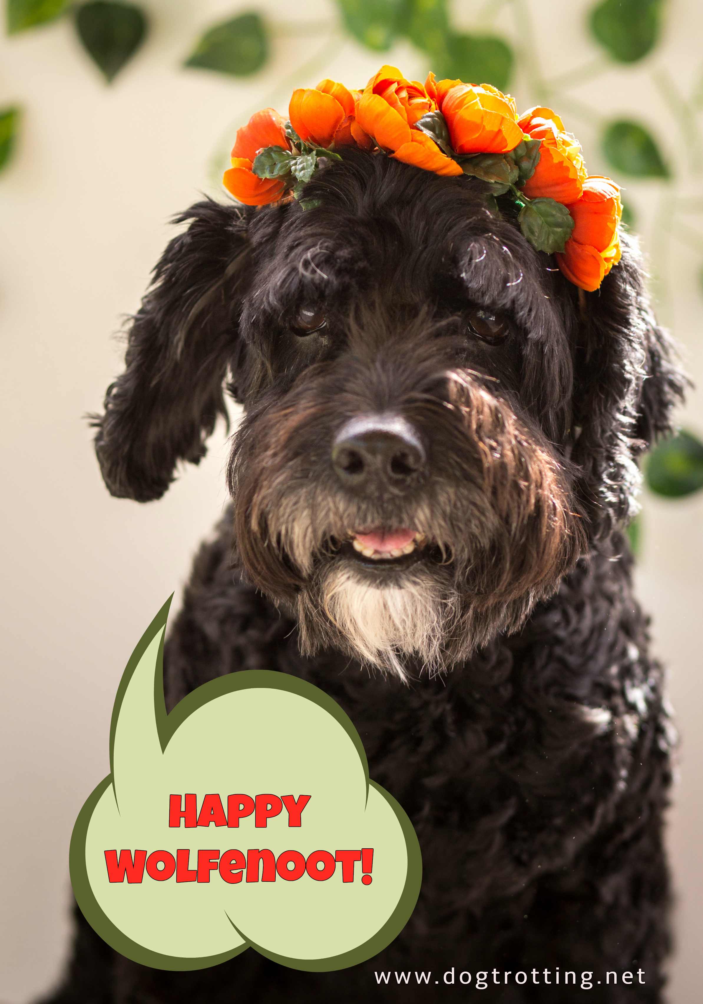 black dog with orange flowers