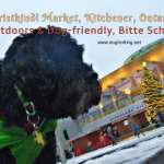 dog at Kitchener Christmas Market