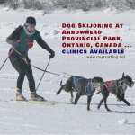 dog skijoring is available at Arrowhead Provincial Park