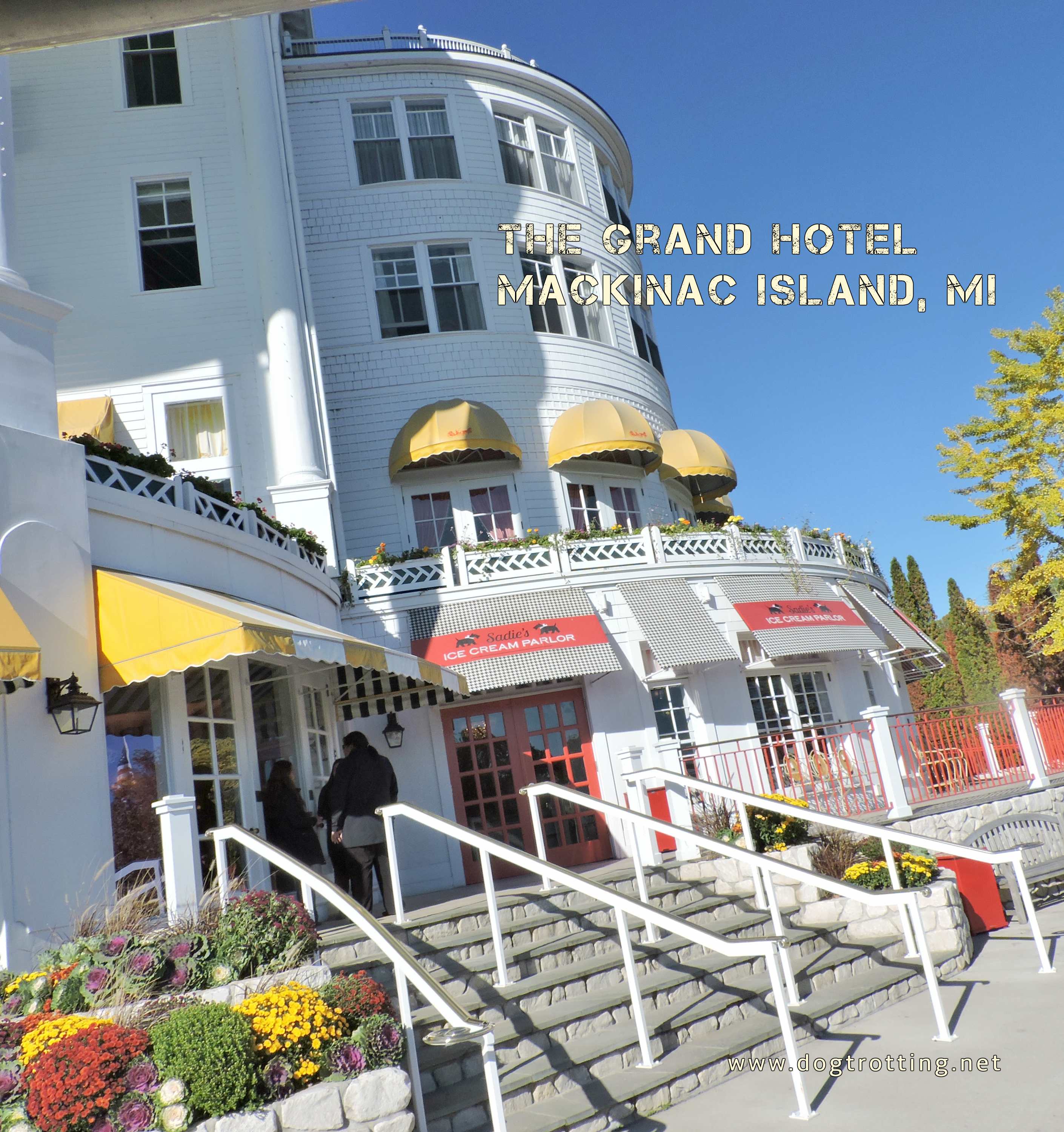 part-ii-mackinac-island-michigan-dog-friendly-horse-drawn