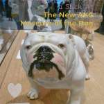 dog art at the AKC Museum of the Dog NYC www.dogtrotting.net