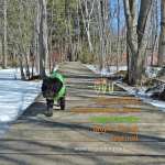 Dog at Mountsberg Conservation Area, Campbellville Ontario