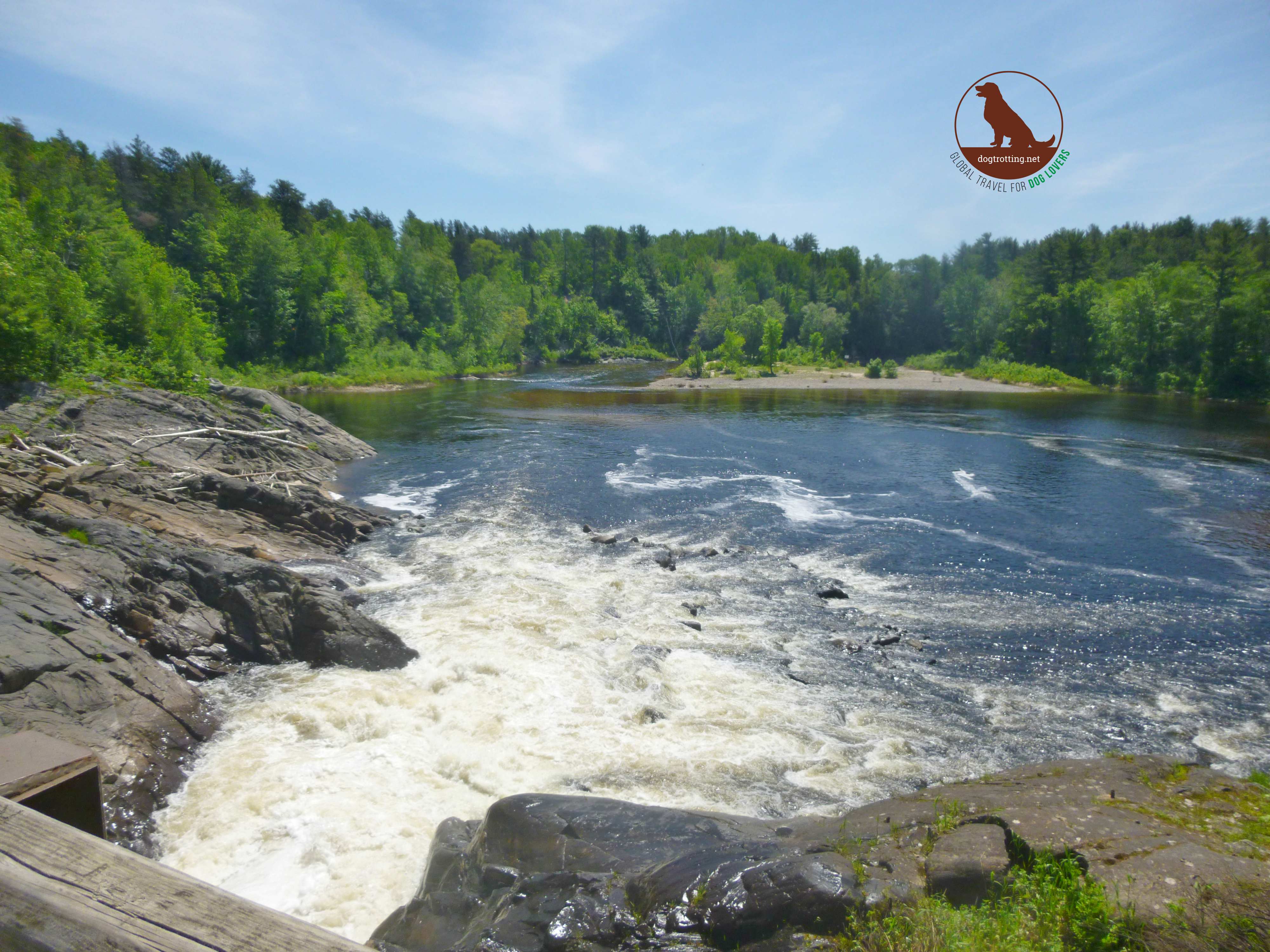 chutes provincial park 4 Dog Trotting