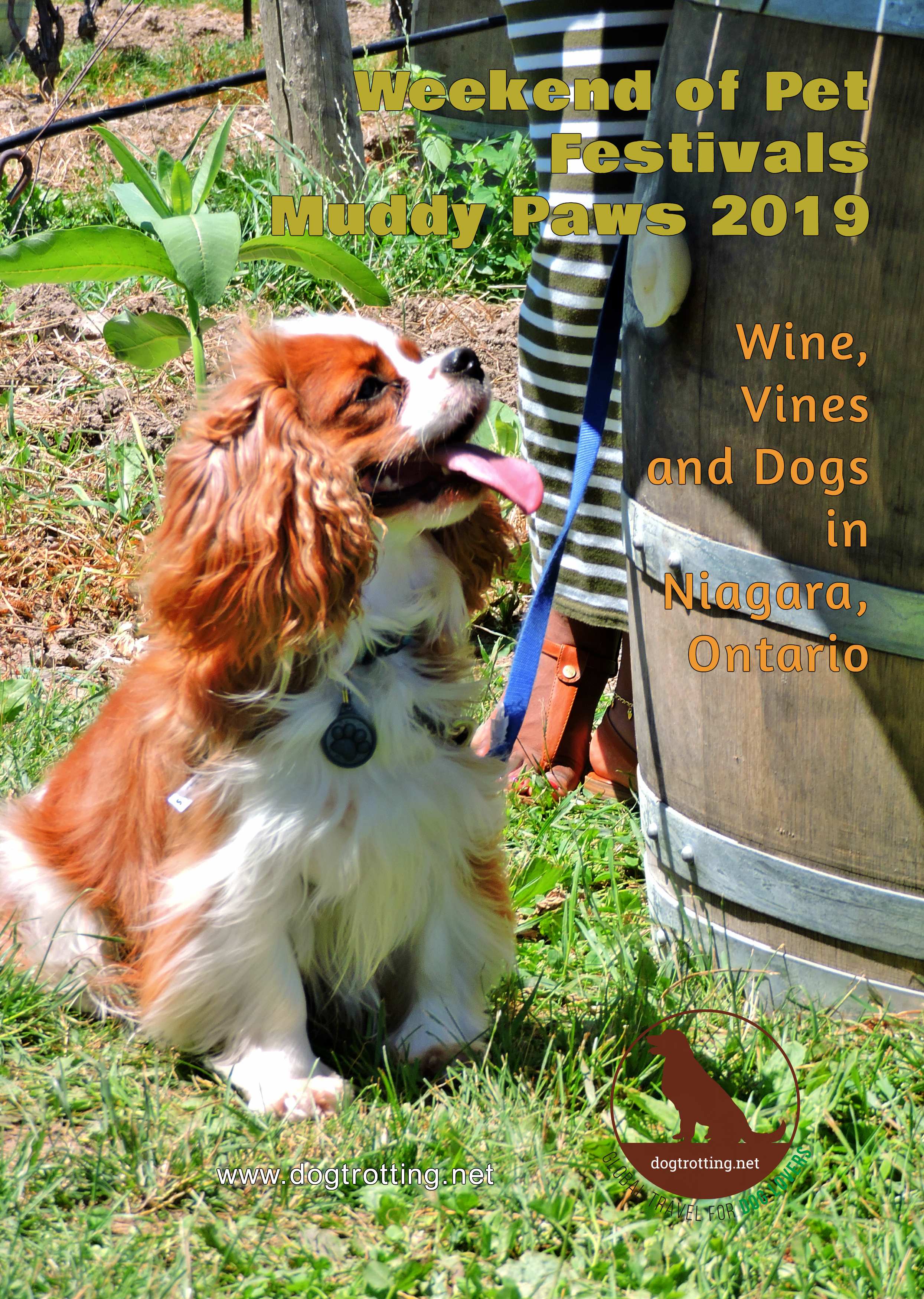 dog at Muddy Paws Wine Festival 2019