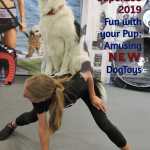 dog trainer with dog on her back