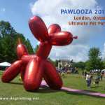 big red dog balloon at Pawlooza 2019 dog festival