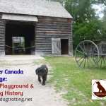 dog at upper canada village in front of barn