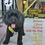 black dog in front of ottawa haunted walk office