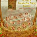 basket with bags of homemade dog treats for potluck