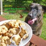 Recipe: Good Boy Breakfast Dog Treats and Brown Lab looking at bowl of treats