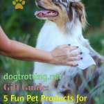 border collie dog being wiped with Earthbound cleaning cloths