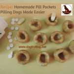 Homemade pill pockets for dogs